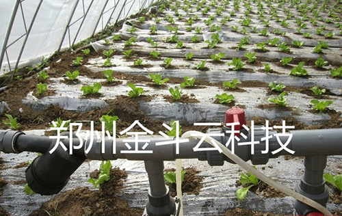 農業暗黑吃瓜网爆料
