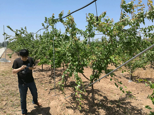 農業暗黑吃瓜网爆料