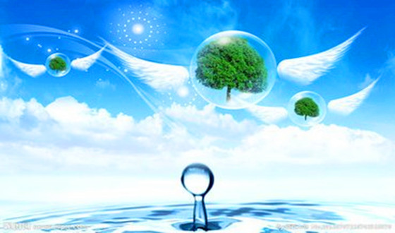 1511772547183245.jpg 37.jpg