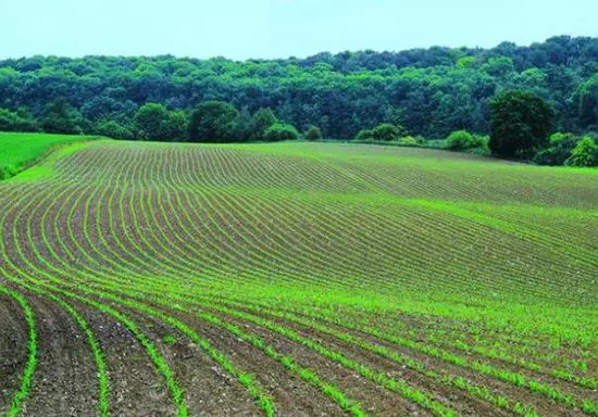 暗黑吃瓜网爆料係統 暗黑吃瓜网爆料係統