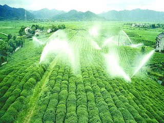 農業暗黑吃瓜网爆料