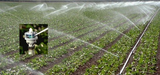 節水暗黑吃瓜网爆料