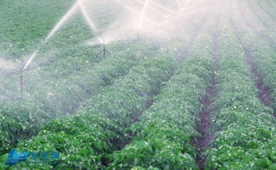 暗黑吃瓜网爆料係統