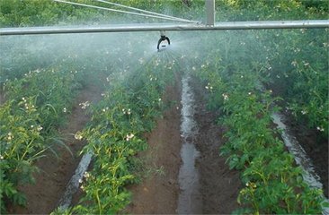 暗黑吃瓜网爆料係統廠家
