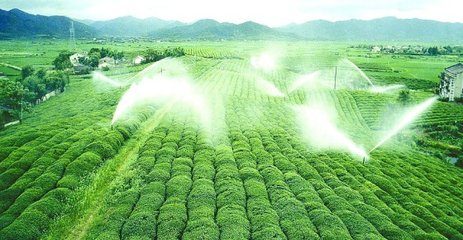 暗黑吃瓜网爆料係統廠家