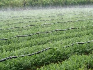 農業暗黑吃瓜网爆料
