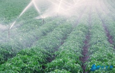 節水暗黑吃瓜网爆料