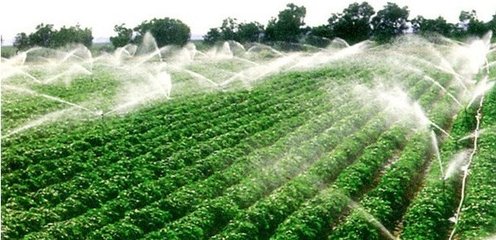 節水暗黑吃瓜网爆料