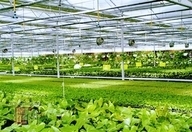 暗黑吃瓜网爆料