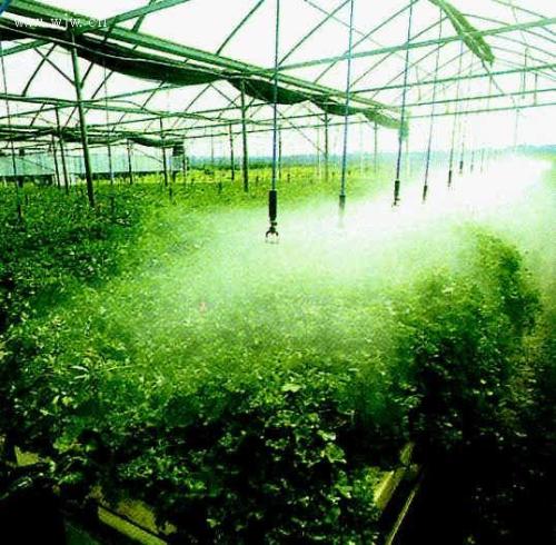 暗黑吃瓜网爆料係統